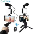 Video recording microphone