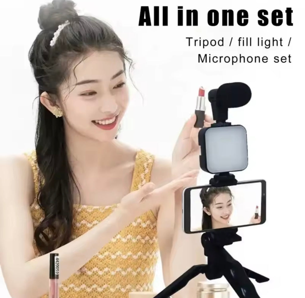 Video recording microphone