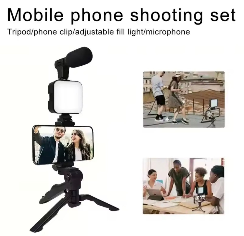 Video recording microphone