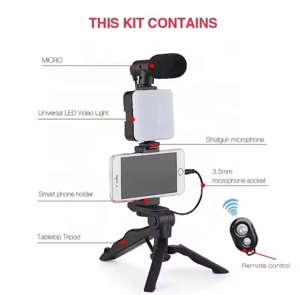 Video recording microphone