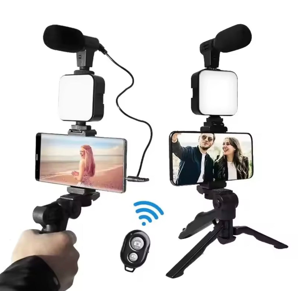 Video recording microphone